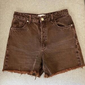 Zara Brown Highwaisted Shorts